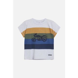 HC Kurzarm-Shirt Arthur gestreift grau/orange/grün/navy , Bio