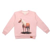 Walkiddy Sweatshirt Beauty Horses BH21-501, BIO