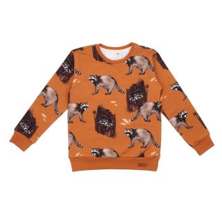 Walkiddy Sweatshirt Curious Raccoons braun 222, BIO
