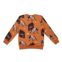 Walkiddy Sweatshirt Curious Raccoons braun 222, BIO