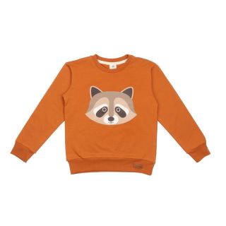 Walkiddy Sweatshirt Curious Raccoons 501, BIO