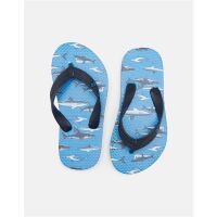 Joules FlipFlops Blusharks