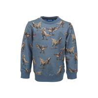 Someone Sweatshirt Bronto SB-16-D T-rex Medium Blue