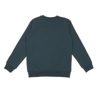 Walkiddy Sweatshirt  Casteland CL22-501 grün, BIO
