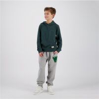 Vingino Boys Kapuzenpullover Nillo darkest green