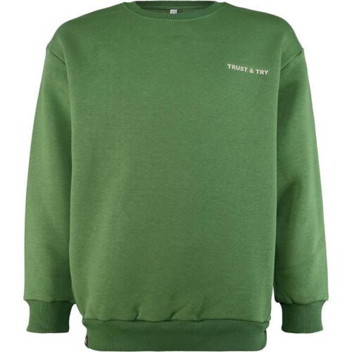 Blue Effect Boys Sweatshirt Grün 2232-6325