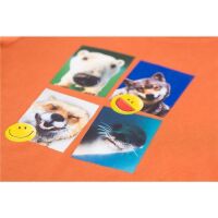 Someone Langarm-Shirt Whale-SB-03-C Tiere orange
