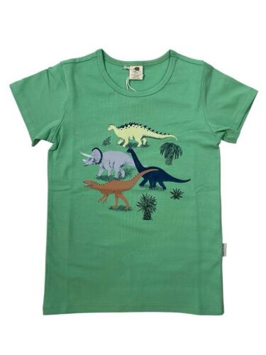 Walkiddy T-Shirt Running Dinosaurs RDGG13-318 grün