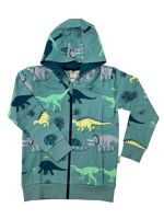 Walkiddy Sweatjacke Running Dinosaurs RD13-223 grün