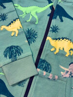 Walkiddy Sweatjacke Running Dinosaurs RD13-223 grün