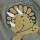 Minymo Baby-Sweat Hose 113928 Fb.9212 Grün-Dino