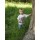 Hust & Claire T-Shirt Anton 29511547-3270 Gepard weiß
