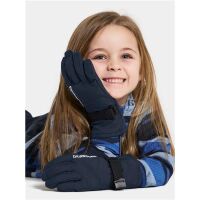 Didriksons Schneehandschuhe Biggles Gloves 4 - 039 Navy Blau
