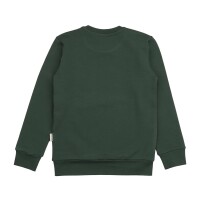 Walkiddy Sweatshirt Crazy Machines CMPG42-501 Bagger Grün
