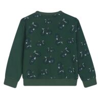 Mini Rebels Sweater Biking SB-16-N Grün mit Fahrrädern