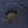 Minymo Baby-Sweathose 114148-7150 Dino Blau