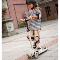 Scoot&Ride Highwaykick 3S LED Farbe Ash