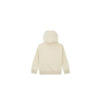 Mini Rebels Kapuzen-Sweater Skating-SB-16-I Beige SkaterDino