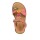 Froddo Sandalen Lorine Lola G3150273-3 Coral