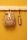 Trixie Trinkflasche 500ml - Mr. Bear 41-197