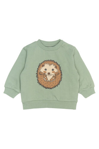 TNS Rex Sweatshirt tnsb6584 lily pad Igel grün