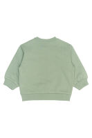 TNS Rex Sweatshirt tnsb6584 lily pad Igel grün