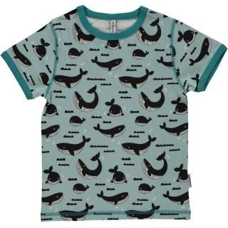 MM Kurzarm-Shirt Wale ocean, BIO 74/80 (9-12M)