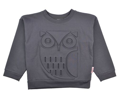 Baba Sweater 3D Eule, Bio